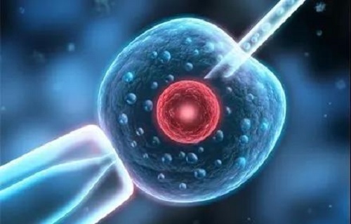 2021年試管嬰兒政府補(bǔ)貼政策,沒(méi)有也要做為啥?