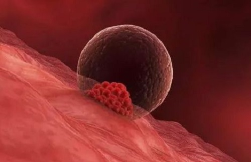 2021年36歲和37歲做試管嬰兒成功率有什么區(qū)別？