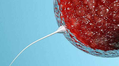 2022年杭州三代試管嬰兒多少錢？