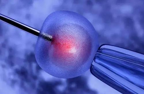 2021試管嬰兒納入醫保了嗎？第一次去做試管需要哪些準備？