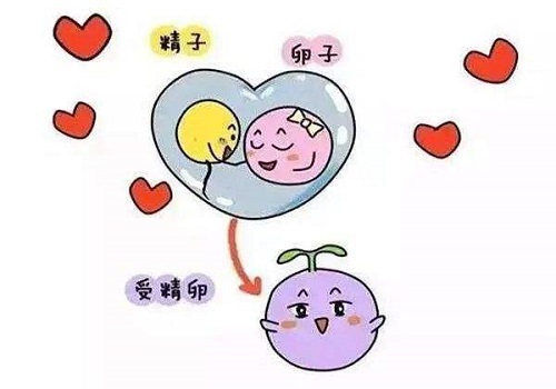 試管嬰兒聰明嗎？只需要做對這四件事！