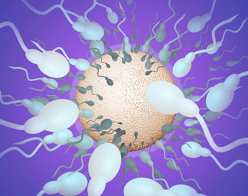 2022年深圳第三代試管嬰兒大概費用是多少？