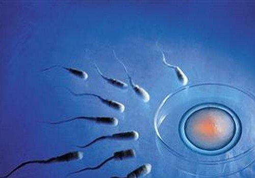 2022年合肥第三代試管嬰兒多少錢？