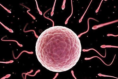 2022上海第三代試管嬰兒價格是多少?