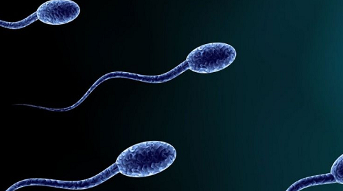 2022哪可以做試管嬰兒？