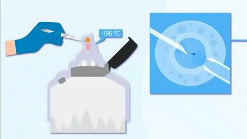 2021做試管最好的私立醫院是哪家？