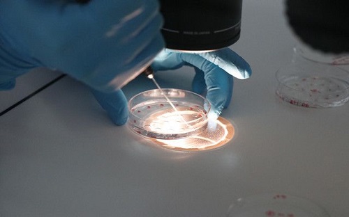 2021上海排名第一的不孕不育醫院是哪家？