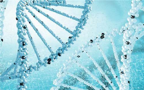 2018試管費(fèi)用