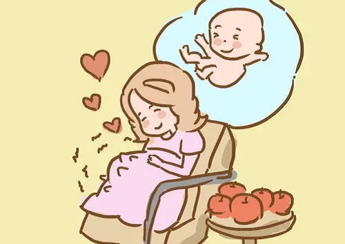 試管嬰兒要多少錢？