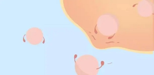 2022年沈陽第三代試管嬰兒多少錢?