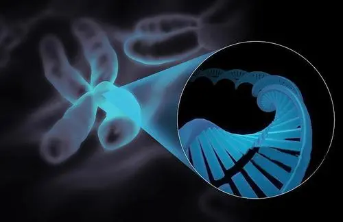 2022年做試管嬰兒要多少錢