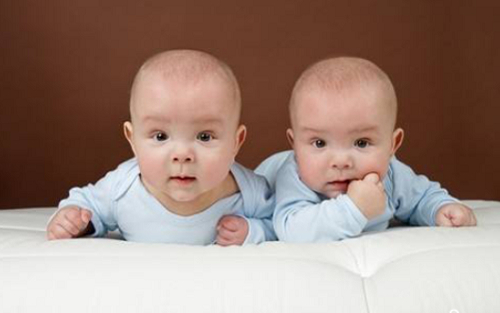 2021年試管嬰兒政府補貼政策有沒有？