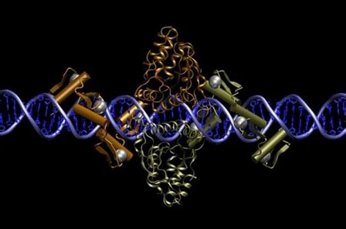 2022三代試管多少錢一次？