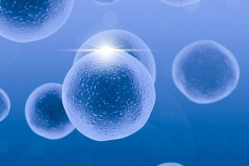 2022單身女人可以做試管嬰兒嗎？