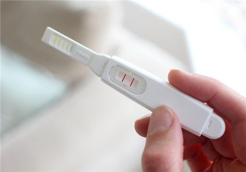 試管嬰兒聰明嗎？只需要做對這四件事！