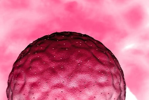 2021年政策對做試管嬰兒有補助嗎?據說這幾個省份有?