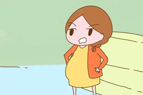 2022單身女性試管嬰兒合法嗎？