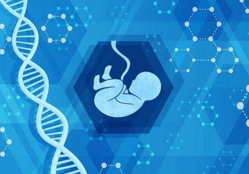 試管嬰兒胚胎著床后有什么感覺？要注意什么？