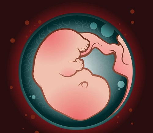 2018赴泰試管必備攻略大全