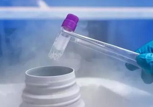 10個人做試管嬰兒幾個能成功?做試管一次成功的是哪些?