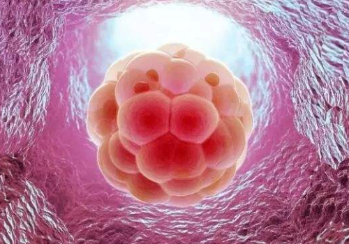 試管嬰兒的具體要多少錢？