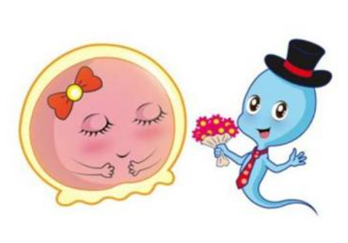 為什么大家的泰國(guó)試管費(fèi)用有高有低