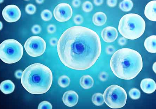 試管嬰兒一次的費用