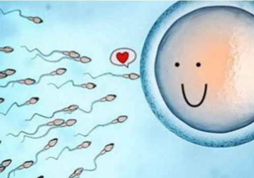 做試管嬰兒一次需要多少錢