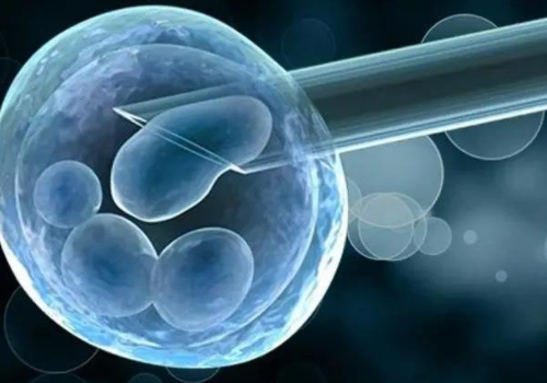 做試管多少錢呢