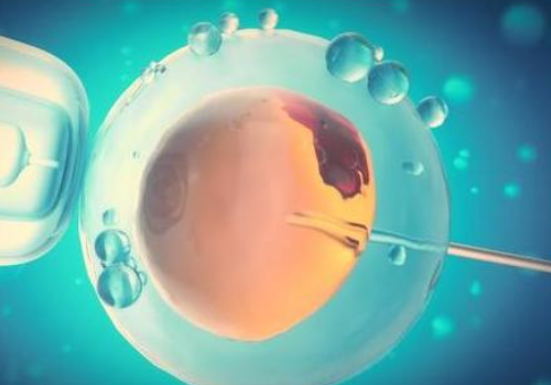 試管嬰兒大概多少錢(qián)呢