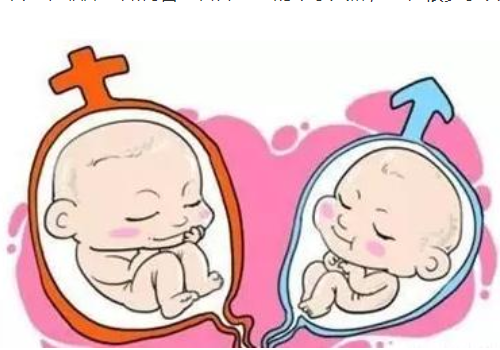 試管費用？