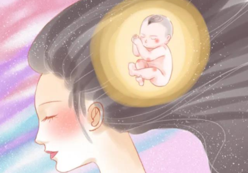 那個試管醫院做的好？