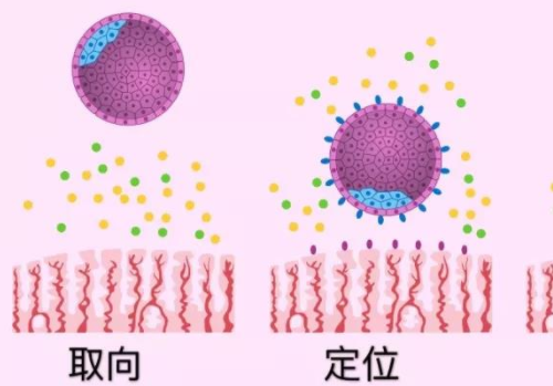 國內試管嬰兒十大醫院那家好？