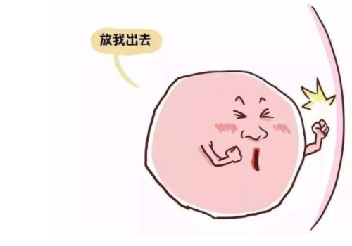 去美國做試管嬰兒的中介？?