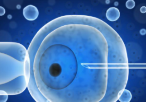 泰國試管嬰兒的價(jià)格？?