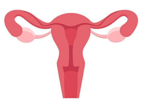 去泰國做試管嬰兒安全嗎？?