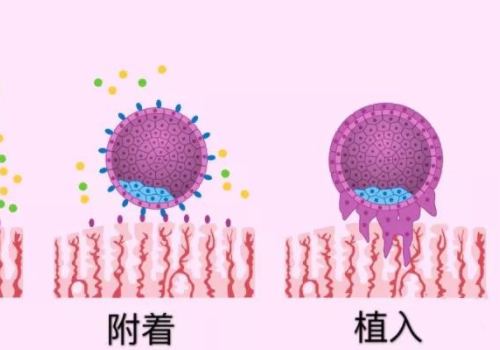 俄羅斯試管嬰兒好的醫(yī)院？?